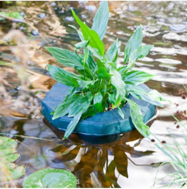 Heissner Schwimmender Pflanzkorb, Pflanzinsel, klein