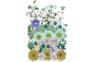 TIGGELL Natural Dried Flowers Mixed Multi-Color Pressed Flower Mini Rose Hydrangea Daisy for Art Craft DIY Resin Nail Art Floral Decors (Light Blue)