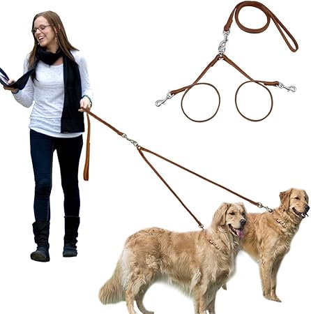 2 way dog leash