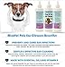 Mindful Pets Ear Cleaner for Dogs and Cats - Best Effective Treatment for Mites, Itching, Redness and Irritation, 8oz