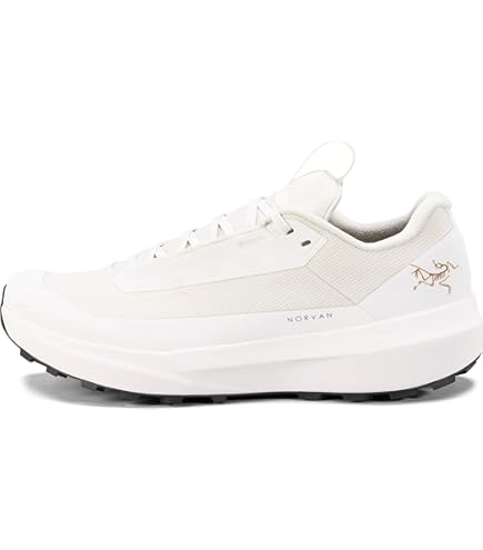 Amazon.com: Arc'teryx Aerios FL GTX Shoe Women's | Fast and Light