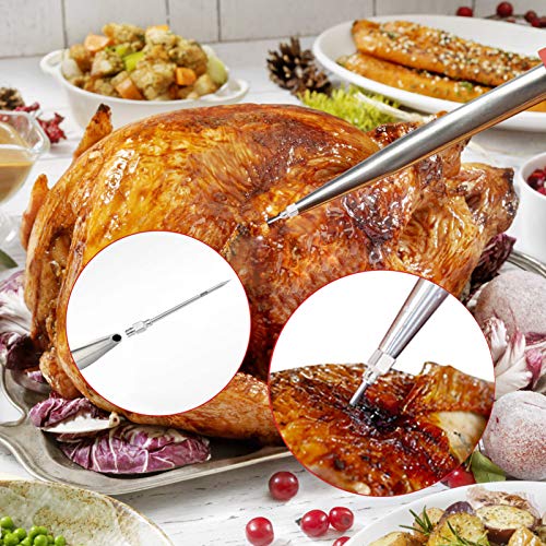 Turkey Baster Stainless Steel Spray Gun With Syringe,Baster for Cooking,5pcs Meat Injector Baster Syringe Needles -Cleaning Brush -Oil Stainless Steel Brushes (Red)