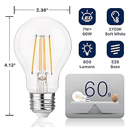 FLSNT 60W Equivalent Dimmable A19 LED Light