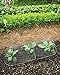 Gardener's Supply Company Chicken Wire Cloche Garden Plot Plants Cover Protector | Sturdy Arch Metal Tunnel Cage Flowerbeds and Seedlings Garden Protection from Wild Animals | 2 Sections Set
