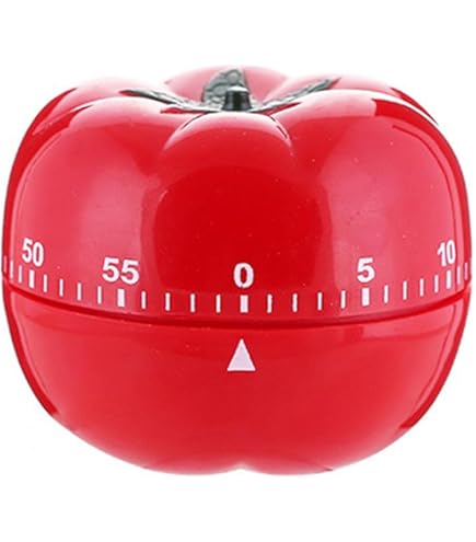 Amazon.com: Tomato Mechanical Kitchen Timer,60 Minutes Vegetable