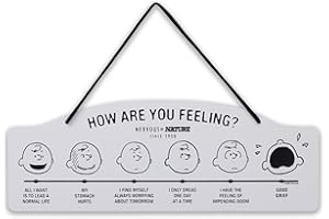 OPEN ROAD BRANDS Peanuts How Are You Feeling Hanging Metal Sign - Funny Peanuts Wall Decor for Home - Great Gift Idea