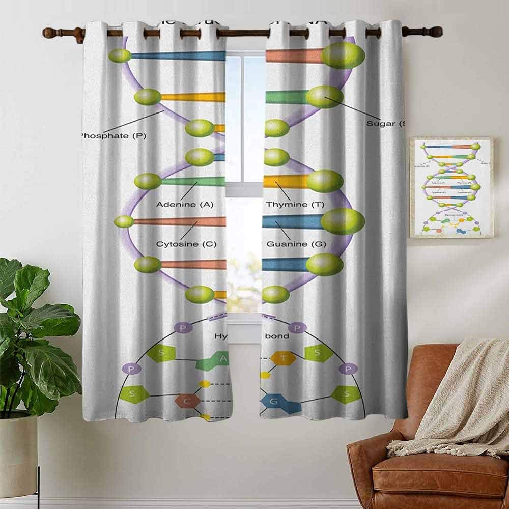 Petpany Blackout Curtains 2 Panels Educational,Colorful Structure of DNA Genetic Code Amino Acids Nucleotides Scientific Study, Multicolor,for Room Darkening Panels for Living Room, Bedroom 42"x45"