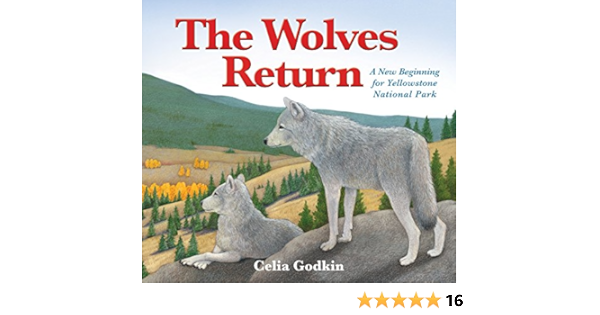 The Wolves Return Godkin Celia Godkin Celia 9781772780116 Amazon Com Books the wolves return godkin celia