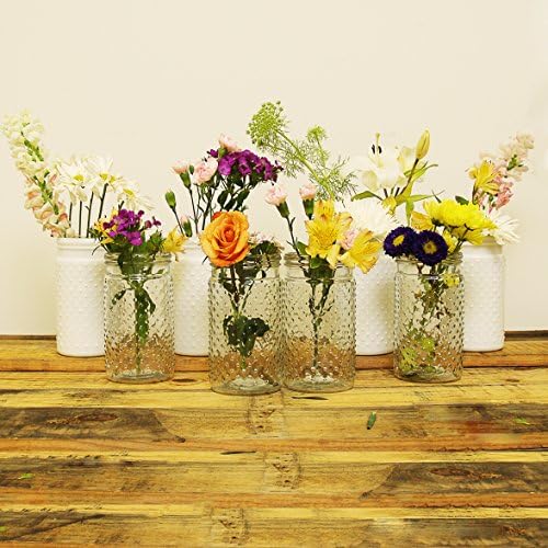 Sunday Morning Home 8 Piece Large Mixed Clear and White Glass Hobnail Jar Set