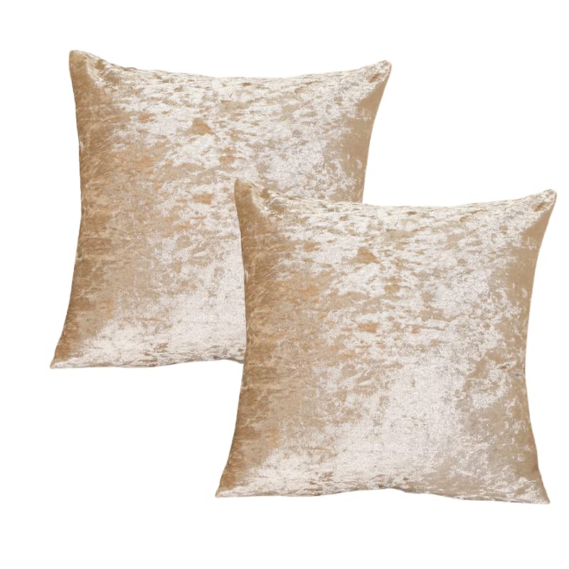 RKAAS HOME Super Soft Decorative Luxurious Crushed Ice Velvet Square Cushion Cover for Living Room Sofa Couch Bed 45cm x 45cm 18x18 Inches (Pack of 2 - Champagne)
