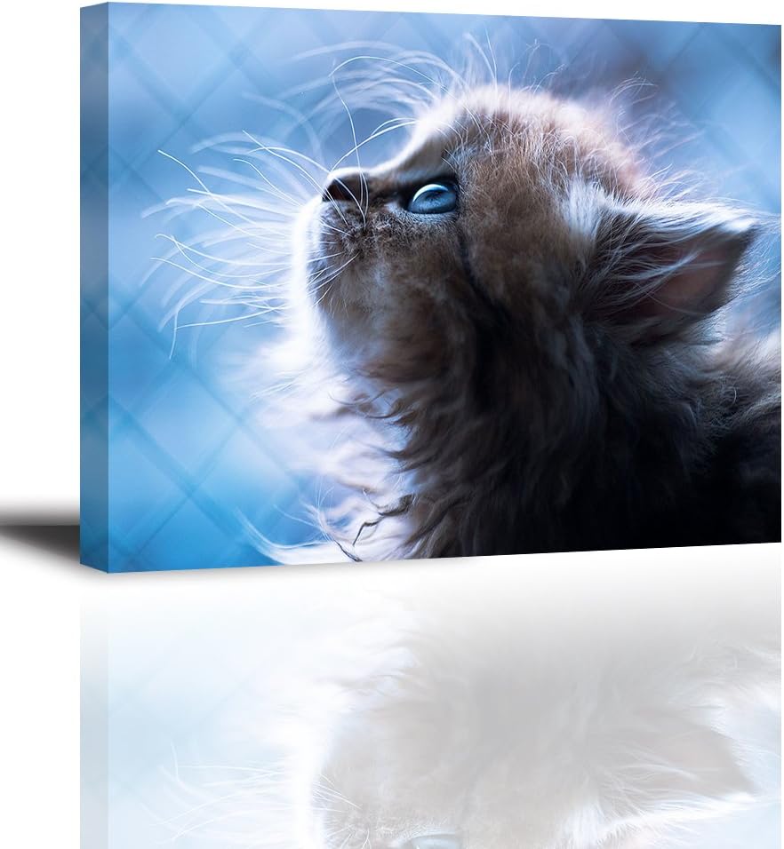 Amazon Co Jp 寝室の動物の装飾の絵 かわいい猫の写真 室内の絵のインクジェットのキャンバスの絵 無邪気なふわふわの子猫 そして愛されているペットの壁の芸術 防水 フックロック ホーム キッチン