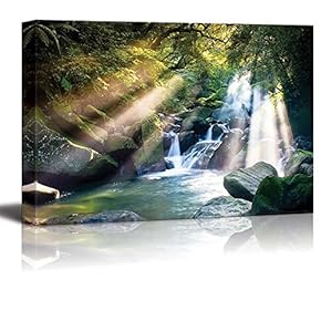Canvas Prints Wall Art - Mountain Stream in Forest with Sun Beam Passing Through | Modern Wall Decor/Home Decoration Stretched Gallery Canvas Wrap Giclee Print. Ready to Hang - 12" x 18"