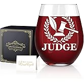 Perfectinsoy Judge Wine Glass, Funny Stemless Wine Glass Gifts for Judge, Cool Gifts for New Judges, Judge Gifts for Women Men Coworker, Graduation Gifts for Law Student, Thank You Gifts for Judge