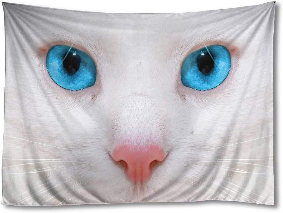 ElloStorka Beautiful White cat Kitten Closeup Animals/Home Wall Decor