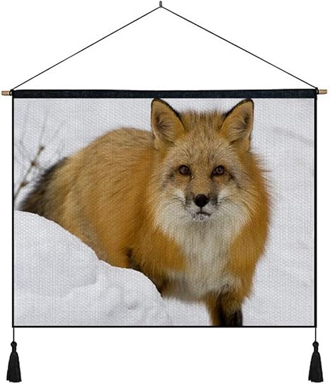 Amazon Co Jp 綿の麻 タペストリー 多機能 掛け軸 掛け物 横 80cmx60cm キツネの口輪雪恐怖冬 個性 掛け軸 掛け物 掛けじく ポスター インテリア 組立式 部屋飾り壁 壁飾り ホーム キッチン Amazon Co Jp 綿の麻 タペストリー 多機能 掛け軸 掛け物 横 80cmx60cm キツネの口輪雪恐怖冬 個性 掛け軸 掛け物 掛けじく ポスター インテリア 組立式 部屋飾り壁 壁飾り ホーム キッチン