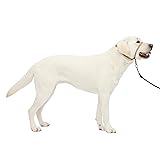 PetSafe Gentle Leader Headcollar No-Pull Dog Collar