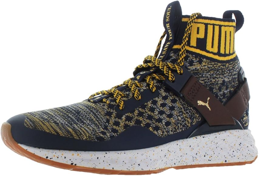 puma ignite evoknit 3 2017 men