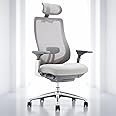 COLAMY Ergonomic Mesh Office Chair, High Back Executive Desk Chair with Adjustable Headrest, 4D Arm, Slide Seat, Tilt Lock, Lumbar Support, Light Grey
