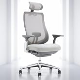 COLAMY Ergonomic Mesh Office Chair, High Back Executive Desk Chair with Adjustable Headrest, 4D Arm, Slide Seat, Tilt Lock, Lumbar Support, Light Grey
