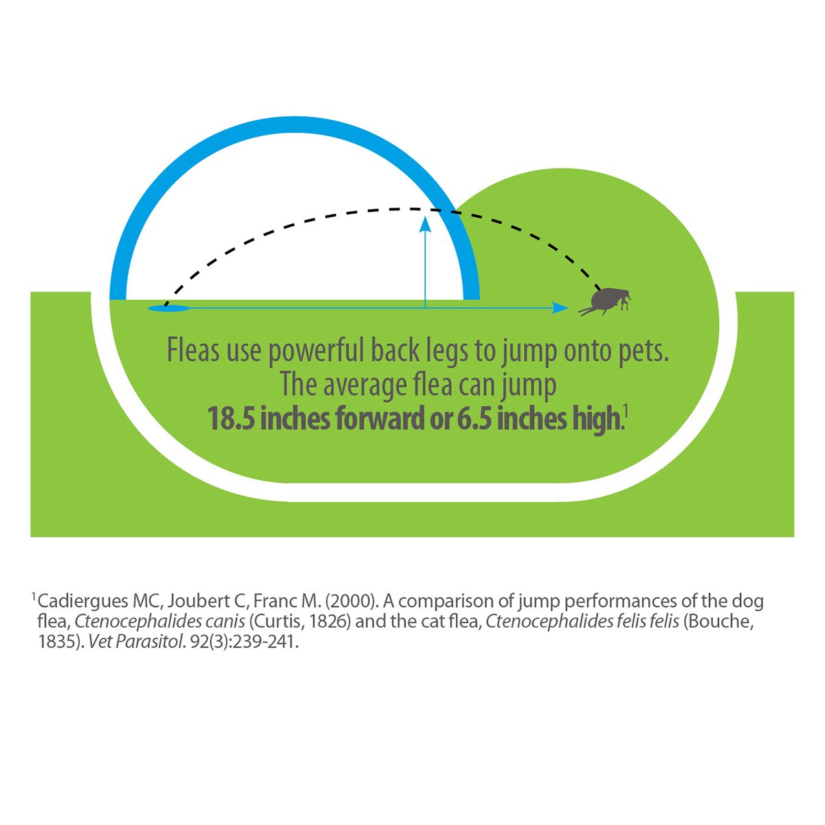 Reviews Advantage Flea and Tick Treatment Spray