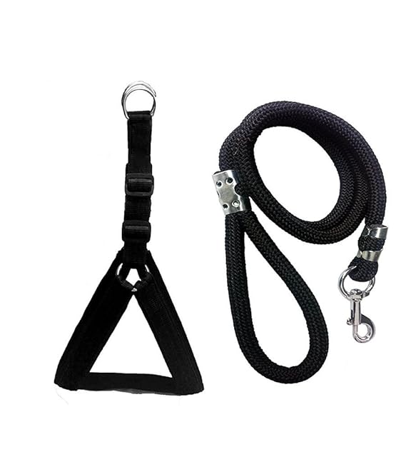 GT Gloptook Nylon Padded Black Adjustable Dog Harness & Leash Rope 1 Inch for Medium Size Pet (Chest Size : 24-29)