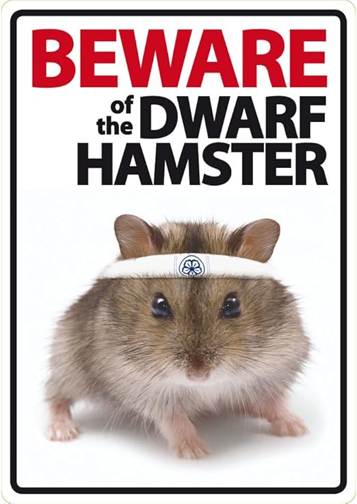 where can i get a dwarf hamster