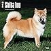 Shiba Inu 2018 Calendar