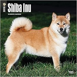 Amazoncom Shiba Inu 2018 12 X 12 Inch Monthly Square Wall