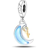 NUJIFFY 925 Sterling Silver Charms Beads for Bracelets Necklaces, Boho Dream Catcher Star Moon Shell Cat Butterfly Heart Airplane Pendant, Blue Purple Colorful Cute Jewelry Birthday Gift for Women Men