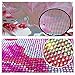 Fabal Fashion 5D Diamond Embroidery DIY Diamond Painting Red Cross Stitch Rhinestone Decoration (A)