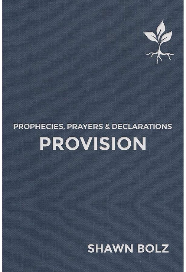 Amazon.com: Breakthrough (1) (Prophecies, Prayers & Declarations):  9781949709292: Bolz, Shawn: Books