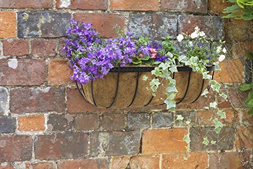 Saxon Wall Trough Planter (76cm)
