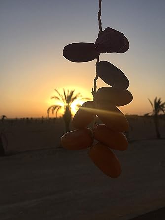 800 g Dátiles Anbara Palmyra Delights 100% natural & saludable ...