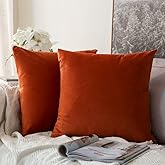 MIULEE Velvet Throw Pillow Covers 20x20 Inch, Pack of 2 - Burnt Orange, Super Soft Decorative Square Cushion Cases Modern Luxury Home Decor for Couch, Bed, Bedroom Livingroom