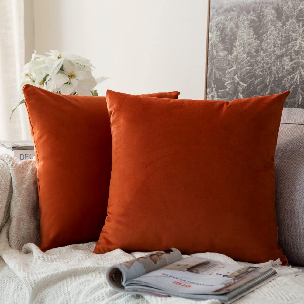 Photo 1 of MIULEE Pack of 2 Burnt Orange Velvet Throw Pillow Covers 14x14 Inch Soft Solid Fall Decorative Square Set Autumn Cushion Case Home Decor for Couch Sofa Bedroom