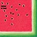 Picnic Watermelon Tableware for 16. Large and Small Plates, Napkins, Red Gingham Tablecloth, Green Cutlery and Party Cups. Decorated Party Supplies for Outdoor, Summer, Fruit, Barbecue Theme and More