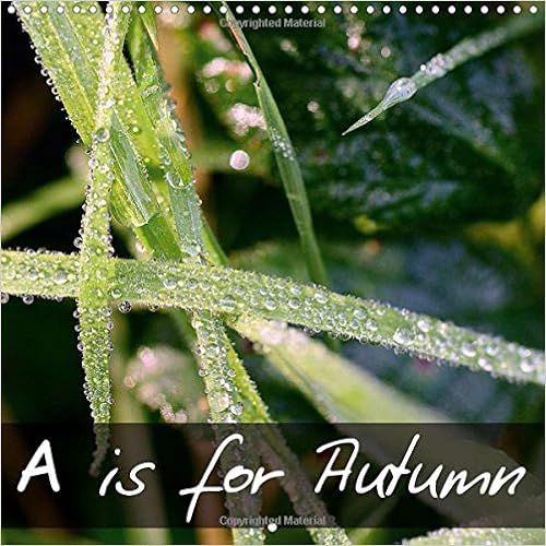 Buy A Is For Autumn 17 A Macro Perspective Into The Microscopic World Calvendo Nature Book Online At Low Prices In India A Is For Autumn 17 A Macro Perspective Into