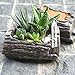 Plant Labels, ZOUTOG 1000 Pcs Plastic Plant Tags 4 Inch Garden Makers with Pen