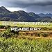 Jamaica Blue Mountain Peaberry Coffee, 100% Pure, Whole Bean, Fresh Roasted, Kosher, 16-ounce