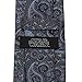 Cufflinks Inc. Vader Paisley Blue and Gray Men's Tie