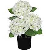 Hollyone White Hydrangea Artificial Flowers in Pots 19.7" Faux Silk Hydranges Flowers Tree Arrangements for Home Bathroom Office Table Centerpiece Shelf Decorations