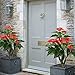 GTidea 3.3 Feet Artificial Tree Anthurium Flowers Decorative Silk Plants Home Office Arrangements Indoor Outdoor Greenery Decor