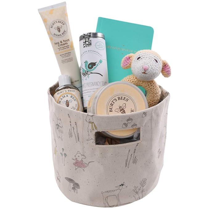 post pregnancy gift basket