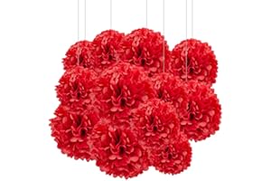 Aimto 12pcs Red Paper Pom Poms Decorations for Party Ceiling Wall Hanging Tissue Flowers Decorations - 1 Color of 12 Inch, 10 Inch