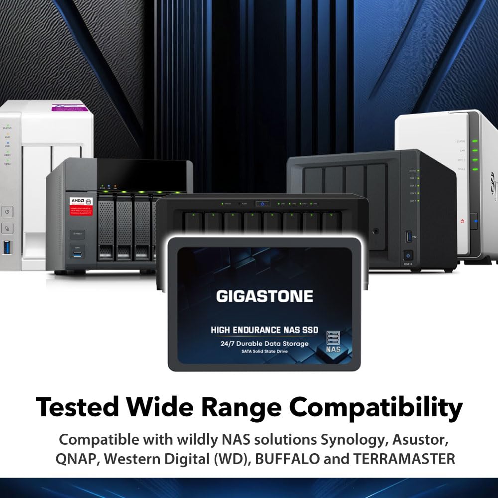 Gigastone 1TB NAS SSD Drive (2-Pack) 24/7 Durable TLC High Endurance RAID Data Storage Network Attached Storage 2.5