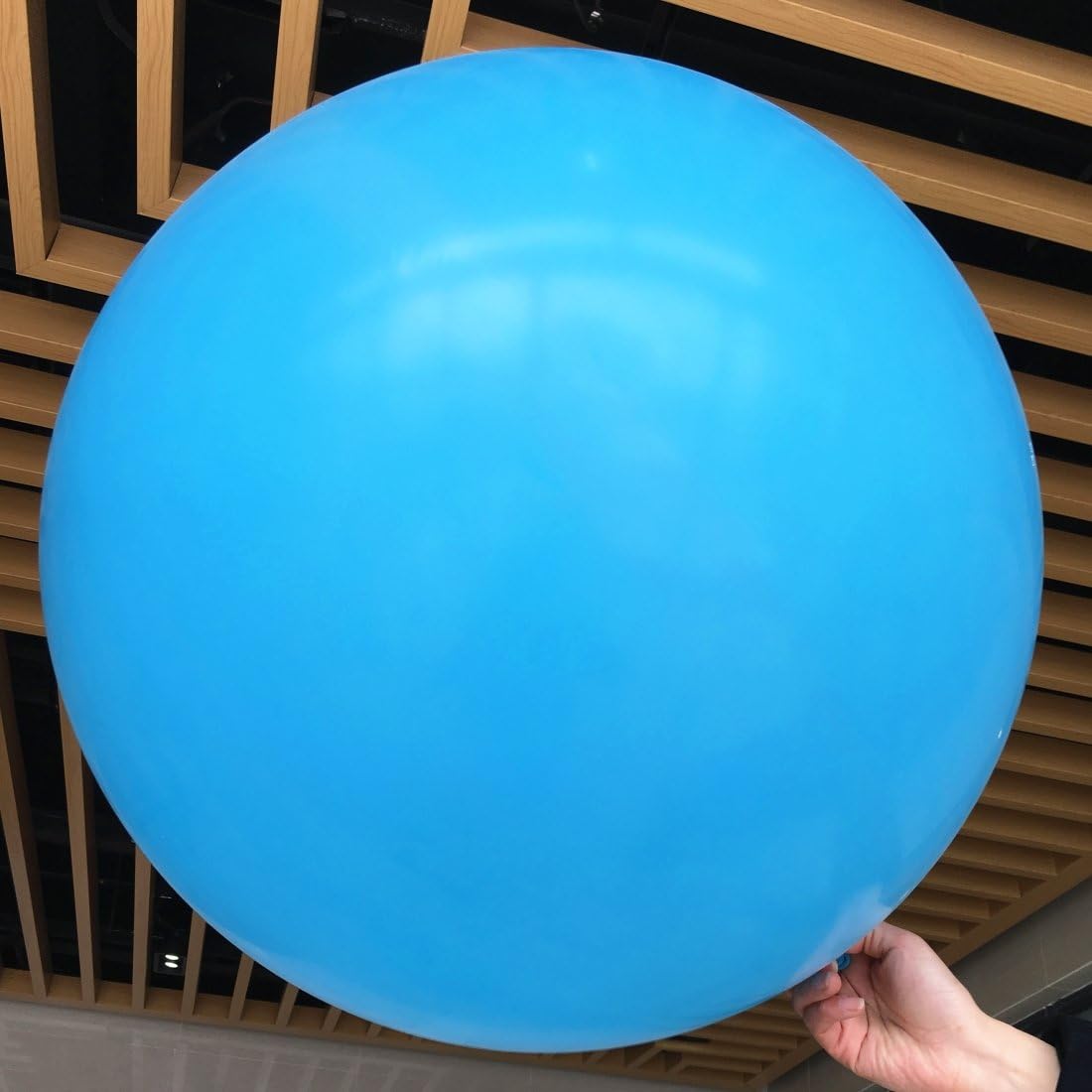 5 Big Balloons 36 Inch Round Balloons Extra Large & Thick Balloons