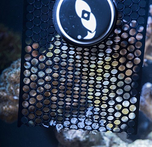 Two Little Fishies Pouch Feeder