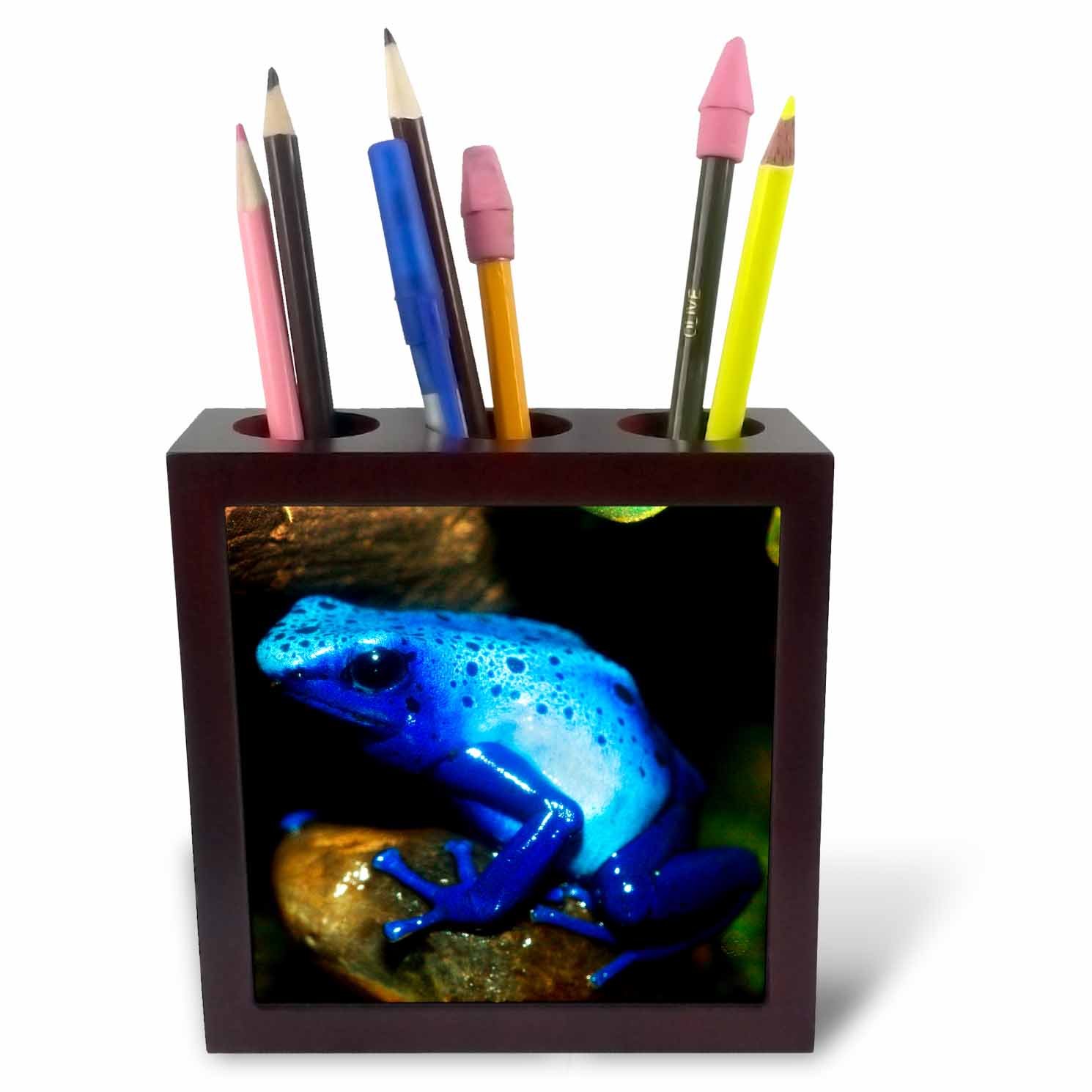 3dRose South America, Surinam Blue Poison Arrow Frog on Rainforest Floor-Tile Pen Holder, 5-Inch (Ph_258546_1), 5 Inches