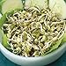 Food to Live Organic Mung Beans, 3 Pounds – Non-GMO, Whole Dried Beans, Green Gram, Sproutable, Kosher, Sirtfood. Good Source of Fiber and Protein.