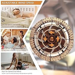 TSMKLEDAN 20" Woven Caged Ceiling Fans with Lights